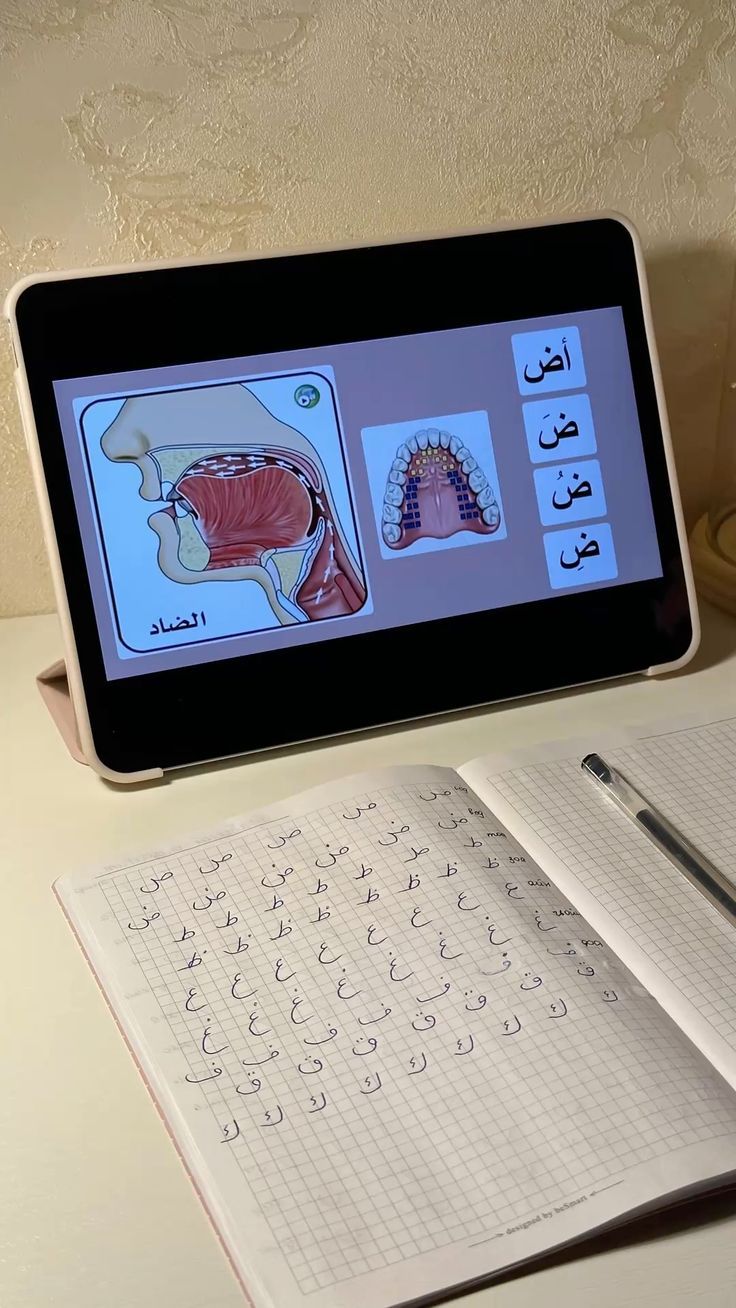Tajweed Beginner